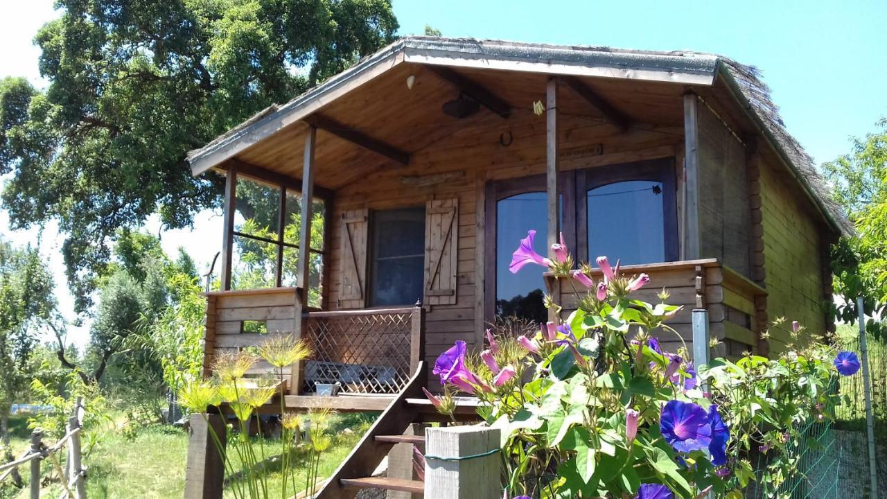 לינה וארוחת בוקר Serra das Alhadas Casa Do Sobreiro 2 מראה חיצוני תמונה