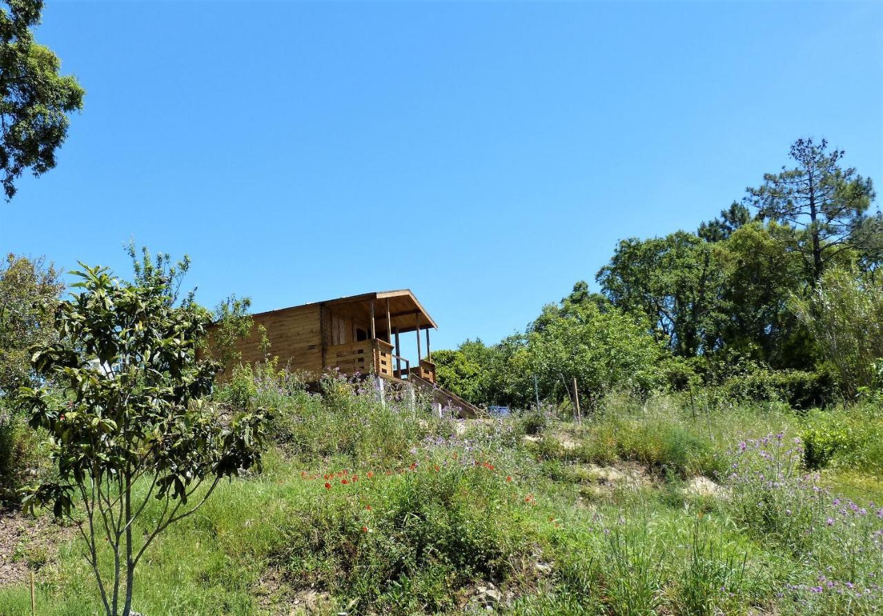 לינה וארוחת בוקר Serra das Alhadas Casa Do Sobreiro 2 מראה חיצוני תמונה