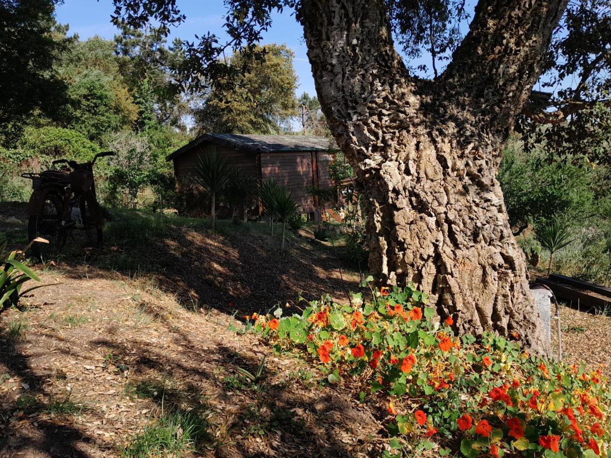 לינה וארוחת בוקר Serra das Alhadas Casa Do Sobreiro 2 מראה חיצוני תמונה