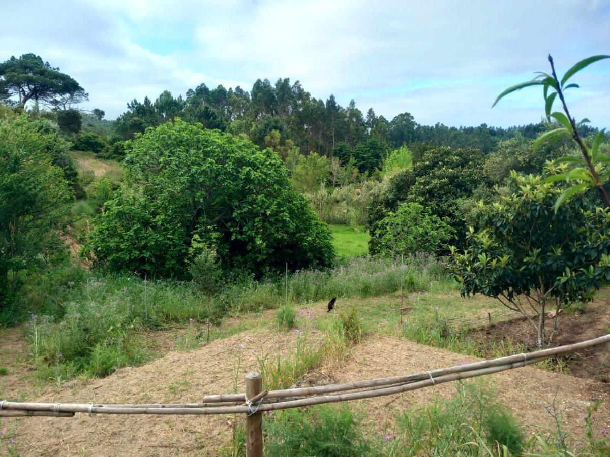 לינה וארוחת בוקר Serra das Alhadas Casa Do Sobreiro 2 מראה חיצוני תמונה