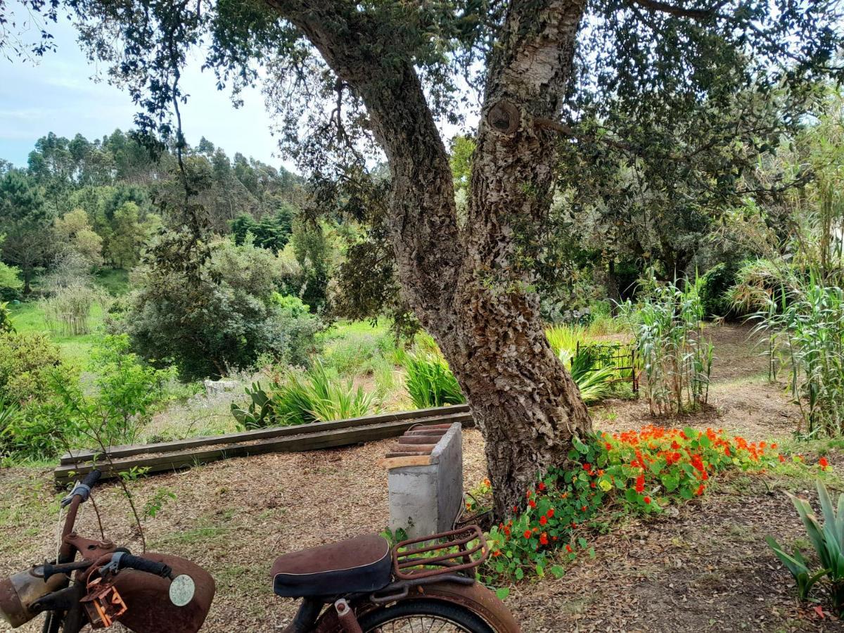 לינה וארוחת בוקר Serra das Alhadas Casa Do Sobreiro 2 מראה חיצוני תמונה