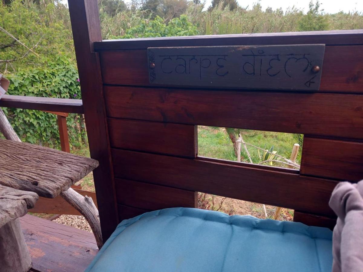 לינה וארוחת בוקר Serra das Alhadas Casa Do Sobreiro 2 מראה חיצוני תמונה