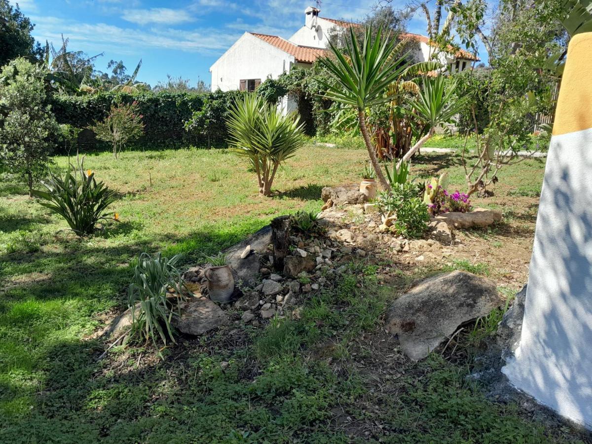 לינה וארוחת בוקר Serra das Alhadas Casa Do Sobreiro 2 מראה חיצוני תמונה