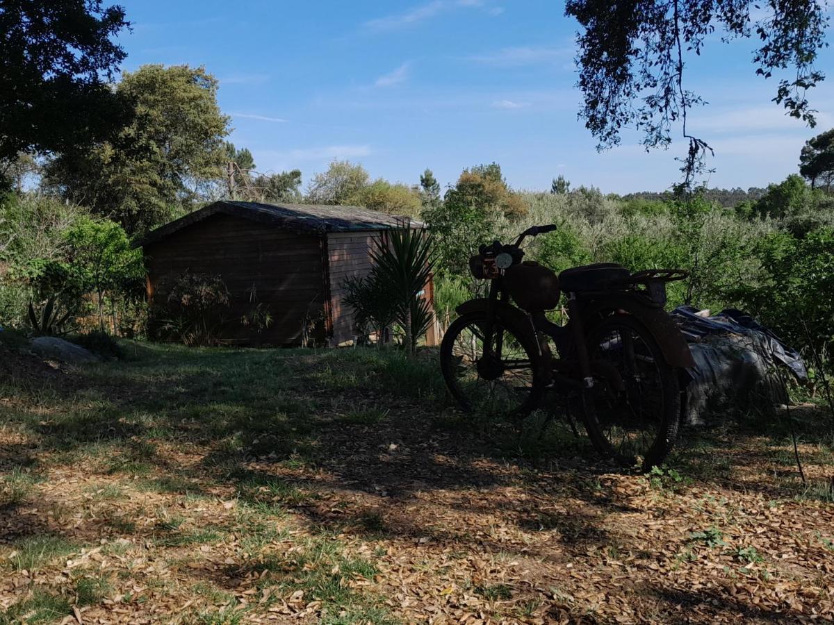 לינה וארוחת בוקר Serra das Alhadas Casa Do Sobreiro 2 מראה חיצוני תמונה